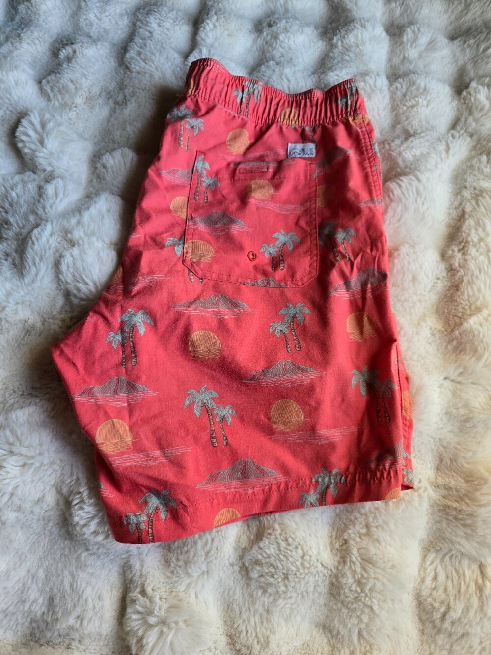 Blue Crown Coral Beach swim trunks men